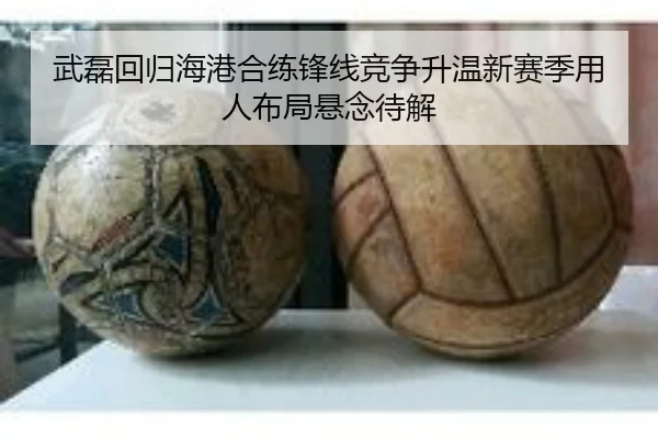 武磊回归海港合练锋线竞争升温新赛季用人布局悬念待解